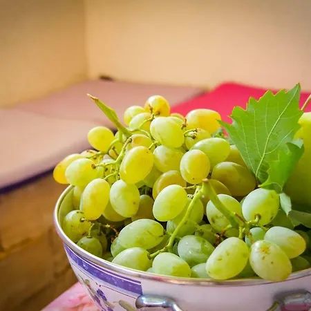Apartman Sidro דירה פוסטיר